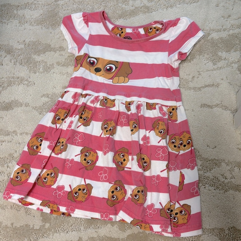 Skye Paw Patrol dress!